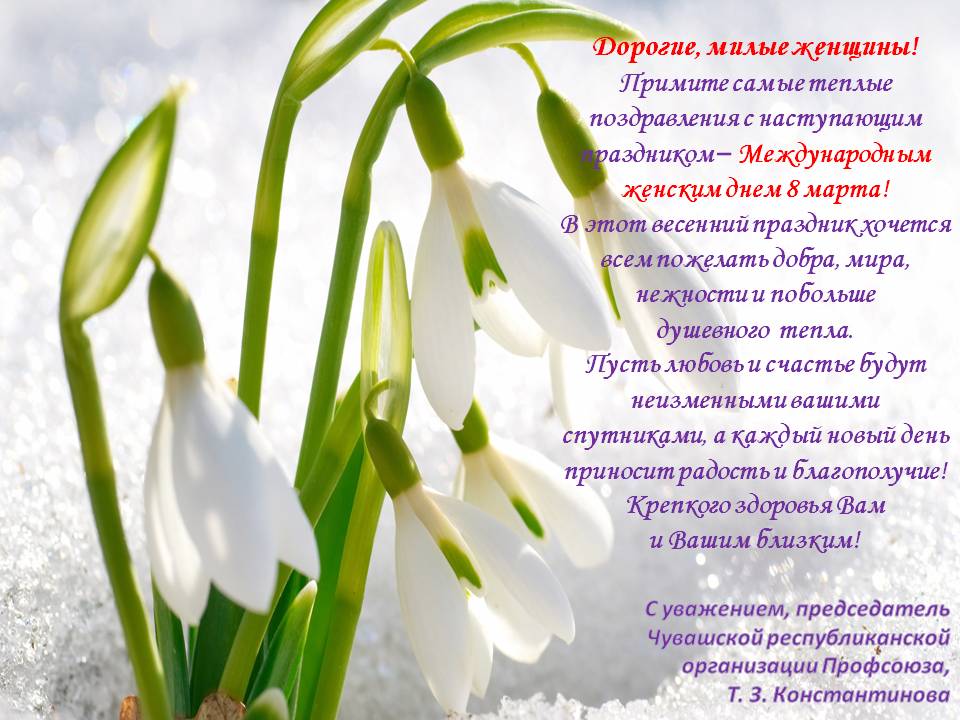 serFiles/Material/201903/07/62fe75f1-cb5f-43a3-8716-0a06a9c4c66f/s_8_marta.jpg